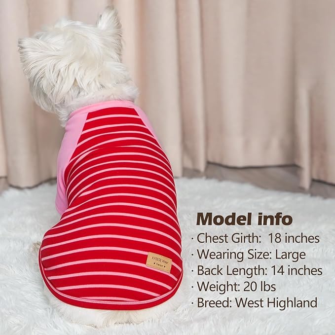 KYEESE 2Pack Dog Sweater Soft Pet Coat Stretchy Cat Clothes Cat Sweaters with Sleeves Comfy Pet Fleece Sweater Lightweight Dogs Sweatshirt Pullover Dog Sweaters for Small Dogs Girl for Cold Weather