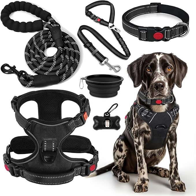 No Pull Dog Harness, Collar & Leash Set | Includes Dog Seat Belt, Collapsible Bowls & Poop Bag Dispenser. Ideal for Training, Walking, Hiking. Fits Small to Large Dogs(Black-M)