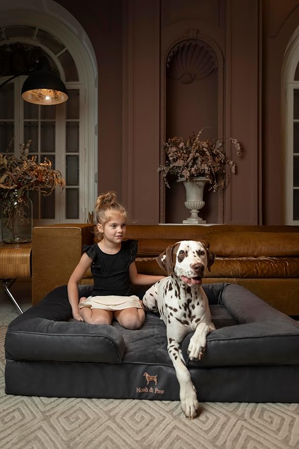 NOAH & PAW XL Dog Bed, 45x35x11 Inch, Orthopedic Large Dog Beds, Eggshell Memory Foam Infused with Cooling Gel, Inner Cover, Waterproof, Machine Washable (Faux Leather Sofa Collection)
