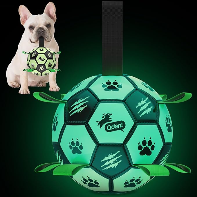 QDAN Premium Dog Ball, Glow in The Dark Dog Toys, Light Up Soccer Ball for Dogs, Outdoor Dog Toys, Doggy Water Toy, Puppy Birthday Gifts for Small Medium (6 Inch)