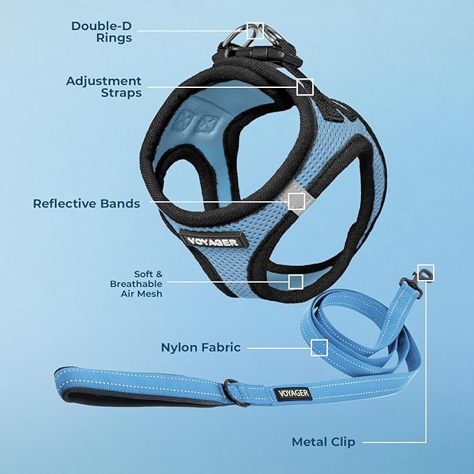 Voyager Step-in Air All Weather Mesh Harness and Reflective Dog 5 ft Leash Combo with Neoprene Handle, for Small, Medium and Large Breed Puppies by Best Pet Supplies - Baby Blue/Black Trim, X-Large