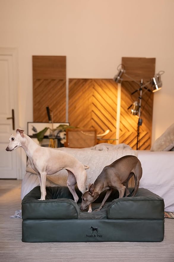 NOAH & PAW Large Dog Bed, 35x25x11 Inch, Orthopedic Dog Beds, Eggshell Memory Foam Infused with Cooling Gel, Inner Cover, Waterproof, Machine Washable (Faux Leather Sofa Collection)