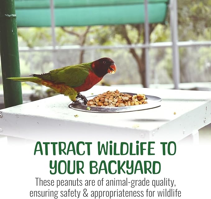 Premium Quality Raw Out of Shell Peanuts for Wildlife - 45 Pounds - Shelled Peanuts- Grown in The USA, for Squirrels, Deer, Birds