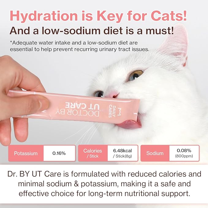 Doctor By UT Care Cat UTI Kidney Support Urinary Supplement Cranberry Treatment for Cats Renal Health with Pacran, Quercetin, Taurine lickable Formula Individually Packaged (1 Pack)
