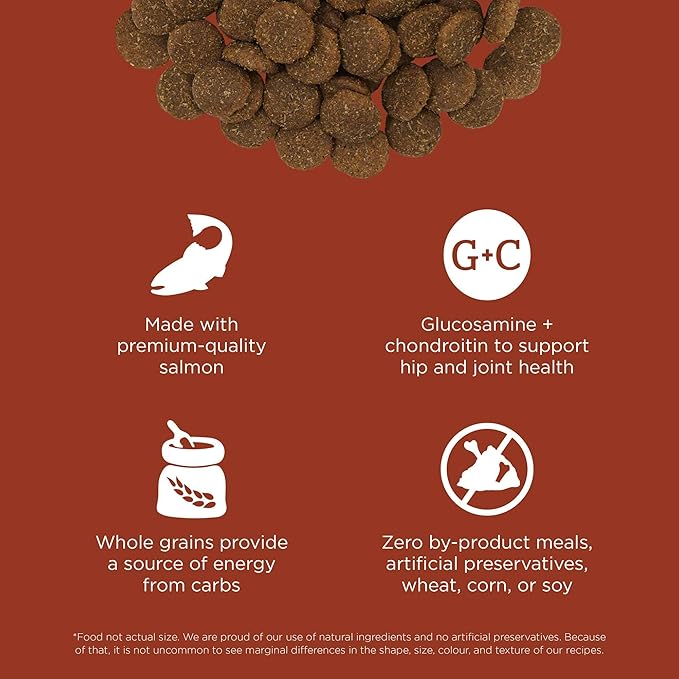 Go! Solutions Skin + Coat Care, Dry Dog Food, Large Breed Adult Salmon Recipe with Grains, 12 lb Bag