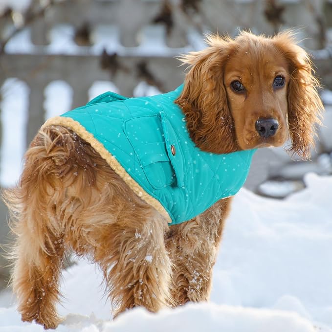 Queenmore Warm Dog Coat, Cold Weather Puffer Dog Coat Vest, Quilting Winter Pet Jacket Ultra Thick Plush Fleece Lining Pet Clothes for Dogs with Storage Pockets (Light Blue,Large)