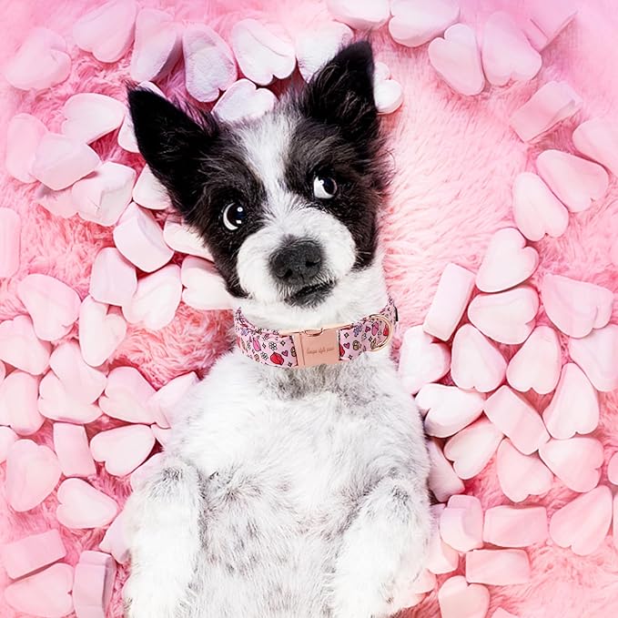 Unique style paws Valentine's Dog Collar Metal Buckle Puppy Collar XO Red Lips for Small Medium Large Boys Girls Dogs Wedding