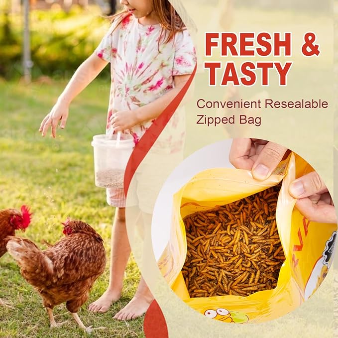 10LB Dried Black Solider Fly Larvae, BSFL is High Protein Chicken Feed with 85x More Calcium Than Dried Mealworms, Poultry Treats, Chickens Love, Birds Love, Hens Love, Ducks Love