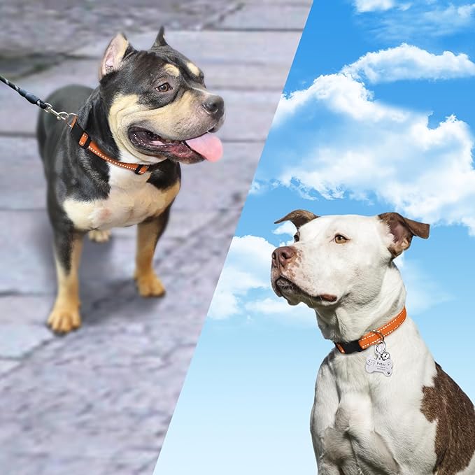 PaiPaitek Replacement Shock Collar Strap, 3/4 inch Dog Collar Fit All Brands of Shock Training Collars and Bark Collars - Durable and Adjustable - Reflective Dog Collar - 2 Packs