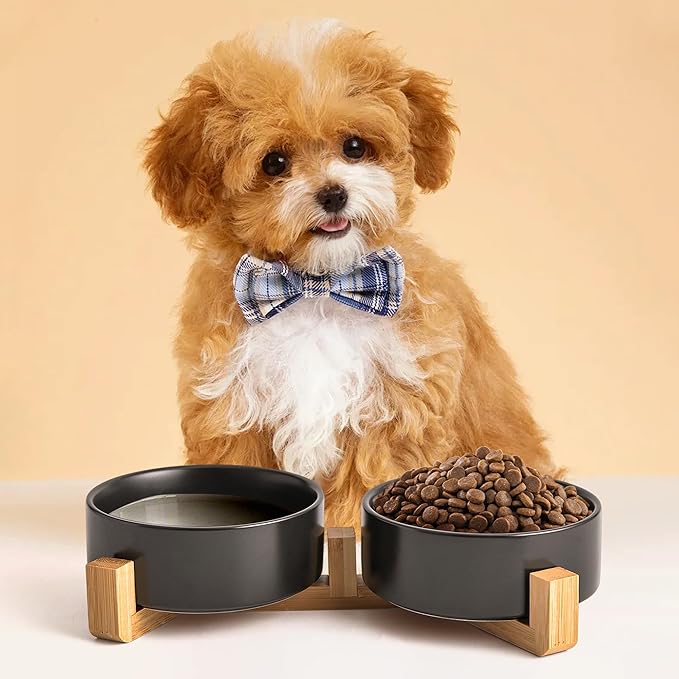 Black Ceramic Dog & Cat Bowl Set – 13.5 OZ with Wooden Stand, Non-Slip, Elevated Design for Small Dogs & Cats – 2 Bowls (Food & Water, Ceramic Pet Bowls, Modern Dog Bowls)