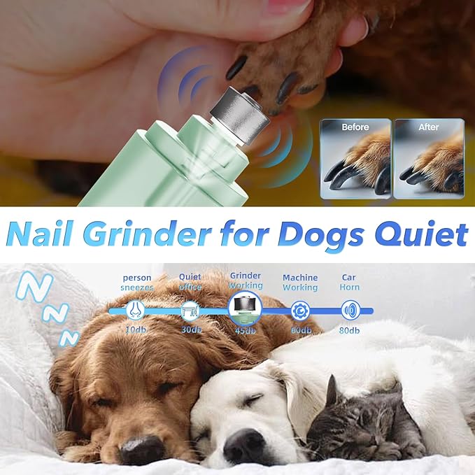 2 in 1 Dog Nail Clippers and Grinder with Lights & Cat Nail Clipper for Large Medium Small Dogs Cats Nail Trimmers USB Rechargeable with 2 LED Lights Dog Claw Care for Non-Black Nails