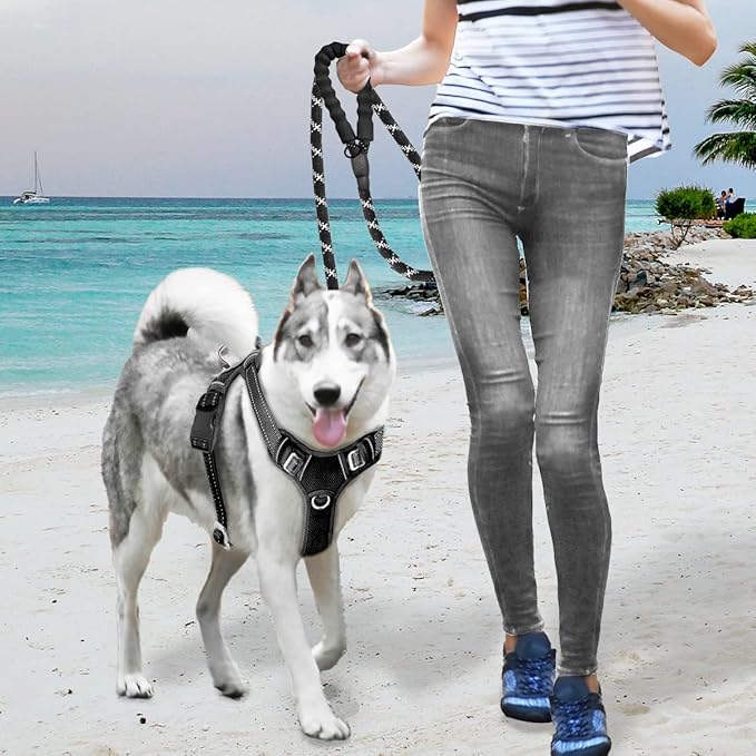 BARKBAY No Pull Dog Harness Large Reflective Dog Harness with Front Clip and Easy Control Handle for Walking Training Running with ID tag Pocket(Black,L)