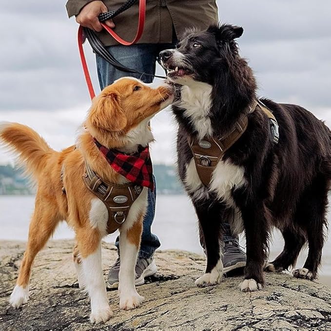 AUROTH Tactical Pet Harness for Large Dogs No Pull Adjustable, Reflective K9 Working Training Easy Control Vest Military fpr Service Dog Desert Camo L