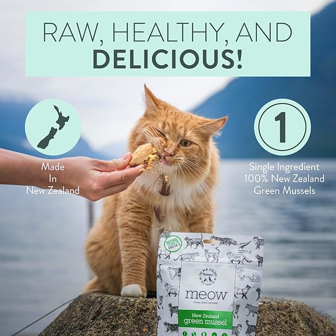 Meow Freeze Dried Cat Treats - New Zealand Green Mussel, High Protein, Healthy Cat Snacks and Toppers, All Natural for All Life Stages, 1.76 oz