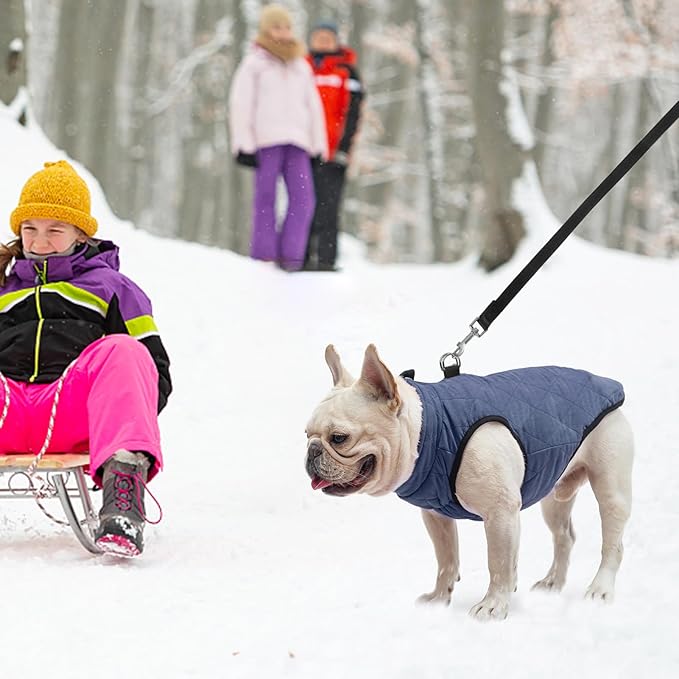 SCENEREAL Winter Dog Vest Coat with Built-in Harness, Warm Puppy Jacket for Small to Medium Dogs, Cold Weather Coat with Zipper, Fleece Puffer Vest Windproof Snow Clothes