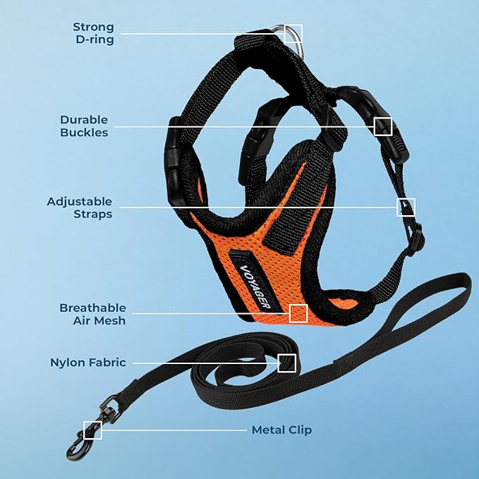Voyager Step-in Lock Adjustable Cat Harness w. Cat Leash Combo Set with Neoprene Handle 5ft - Supports Small, Medium and Large Breed Cats by Best Pet Supplies - Orange/Black Trim, XS