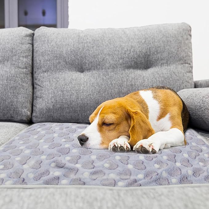 SORKUT 1 Pack 6 Dog Blankets Puppy Blanket Super Soft Fluffy Small Fleece for Pet Blanket for Small Dogs Cat,Small(23"x15")