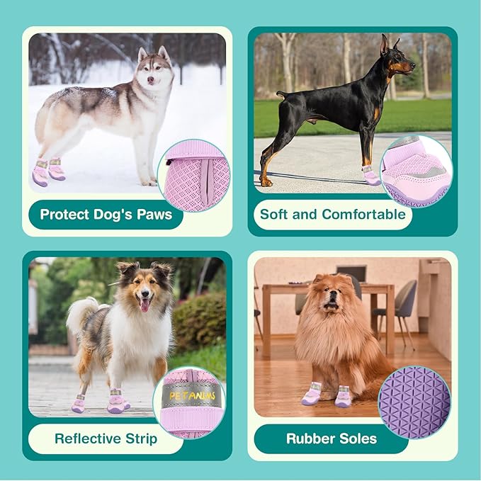 Dog Shoes for Large Dogs, Medium Dog Boots & Paw Protectors for Winter Snow, Breathable Dog Booties for Hot Pavement, Hardwood Floors Purple Size 6