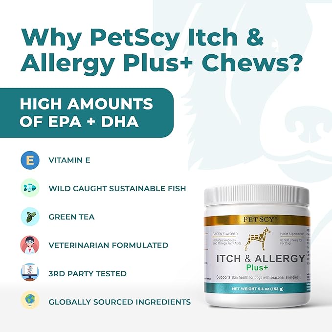 PetScy Itch & Allergy Plus Chews for Dogs Itchy Skin, Ears & Paws | Probiotics, Moringa & Turmeric | for Skin Redness, Hair Loss Gut & Digestive Health - Bacon Flavor - 60 Chews (Pack of 3)