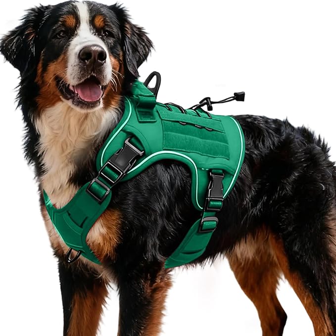 Heavy-Duty Tactical Dog Harness for Large Dogs, No Pull Adjustable Reflective Pet Vest with Molle System, K9 Military-Grade Control for Service Training, Outdoor & 10+ Breeds, Turquoise, XX-Large