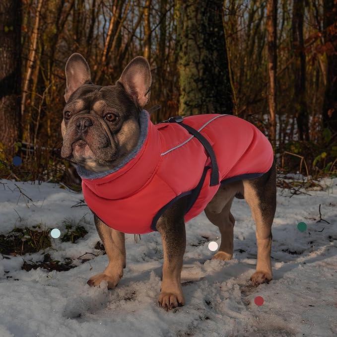 IECOii Extra Warm Reflective Adjustable Dog Jacket - Fleece Turtleneck Winter Coat for Small to Extra Large Dogs