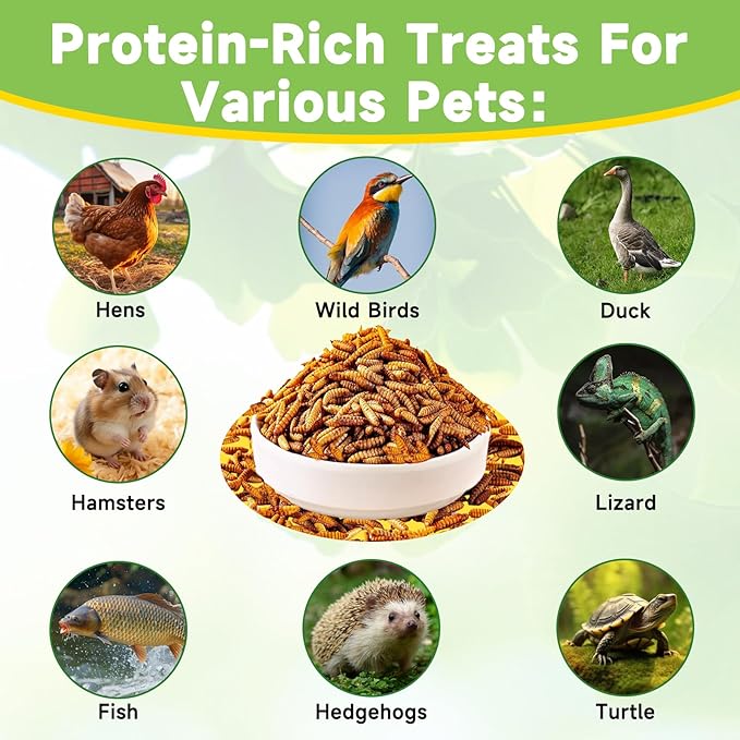 5LB Dried Black Soldier Fly Larvae Treat for Chicken, 100% Natural Non-GMO More Calcium Than Dried Mealworms High Protein Chicken Feed for Birds, Ducks, Layer Hens