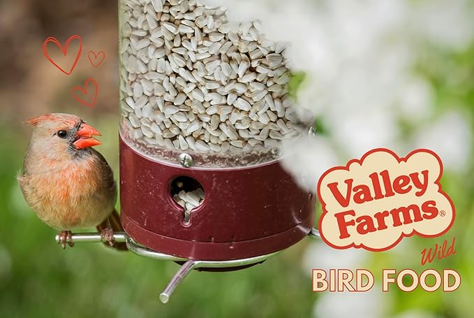Valley Farms Safflower Seed Wild Bird Food (15 LB) for Outside Feeders, Safflower Bird Seed for Cardinals, Grosebeaks, and Buntings, Cardinal Birdseed for Ourtside Feeders