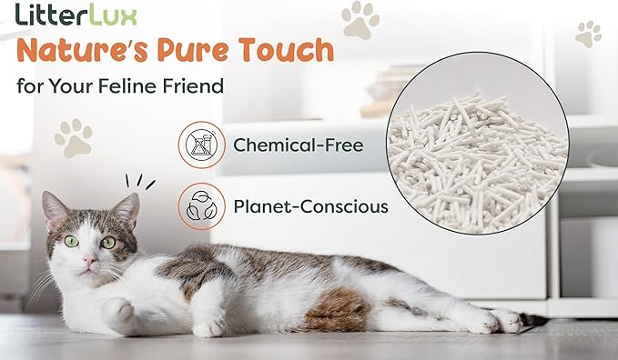 Tofu Cat Litter Clumping, Ultra Absorbent, Fast Drying, Flushable Cat Litter 100% Natural Ingredients, Solubility in Water, Neutralizing Properties of Odor, Dust-Free Tofu Litter for Cats 11lb