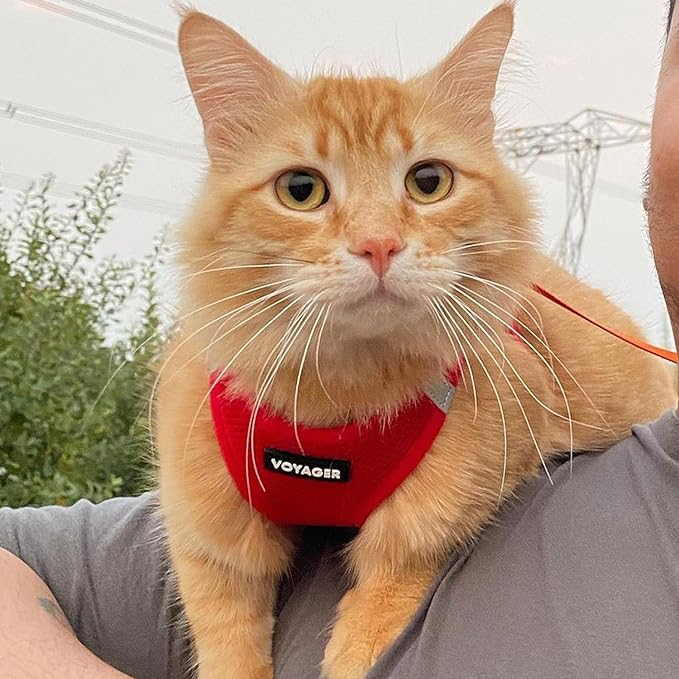 Voyager Step-in Air Cat Harness - All Weather Mesh Step in Vest Harness for Small and Medium Cats by Best Pet Supplies - Set (Red), XXXS