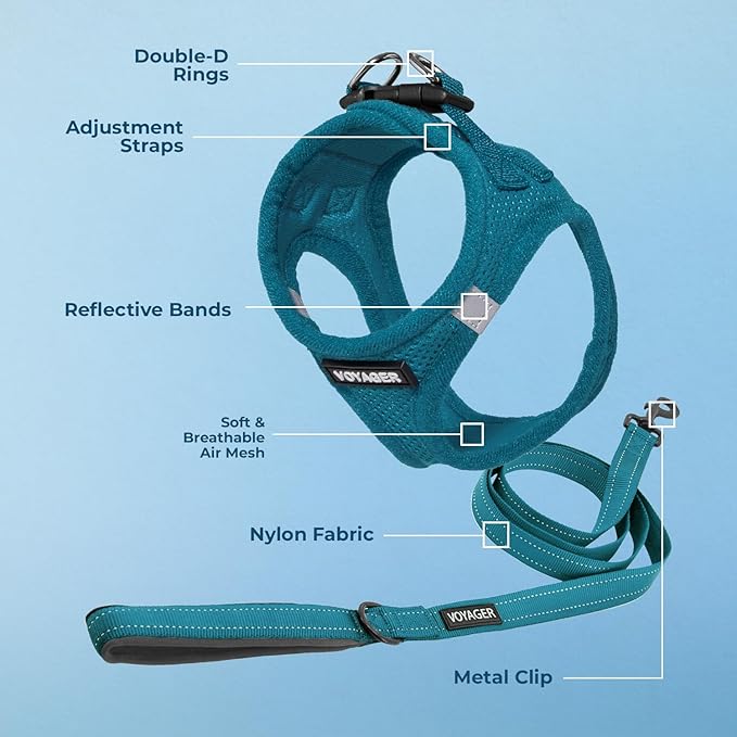 Voyager Step-in Air Cat Harness - All Weather Mesh Step in Vest Harness for Small and Medium Cats by Best Pet Supplies - Set (Turquoise), XXS