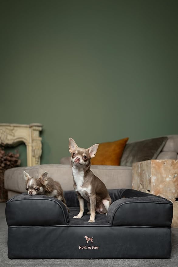 NOAH & PAW Dog Bed, 28x23x11 Inch, Orthopedic Dog Beds for Medium Size Pets, Eggshell Memory Foam Infused with Cooling Gel, Inner Cover, Waterproof, Machine Washable (Faux Leather Sofa Collection)