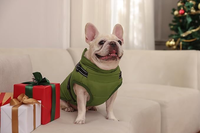 Aiboria Dog Jackets for Winter Windproof Waterproof 2 in 1 Outfit Cold Weather Coat Dog Vest Harness Puppy Winter Warm Jacket Green XXL