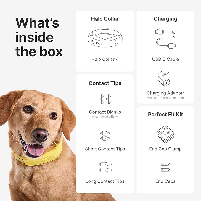 Halo Collar 4, GPS Wireless Dog Fence & Dog Training Collar with GPS Tracker, Subscription Required, Waterproof, Orchid, One Size