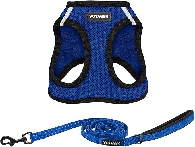 Voyager Step-in Air All Weather Mesh Harness and Reflective Dog 5 ft Leash Combo with Neoprene Handle, for Small, Medium and Large Breed Puppies by Best Pet Supplies - Royal Blue/Black Trim, Medium