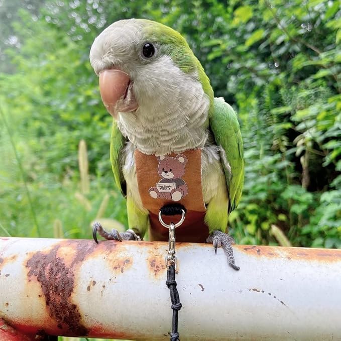 Bird Diaper Harness Flight Suit Clothes, Parrot Flight Suit with Leash for Parrot, Bird Flying Clothes with Rope and Handle for Outdoor Activities Training (Without Leash,Lovebird)