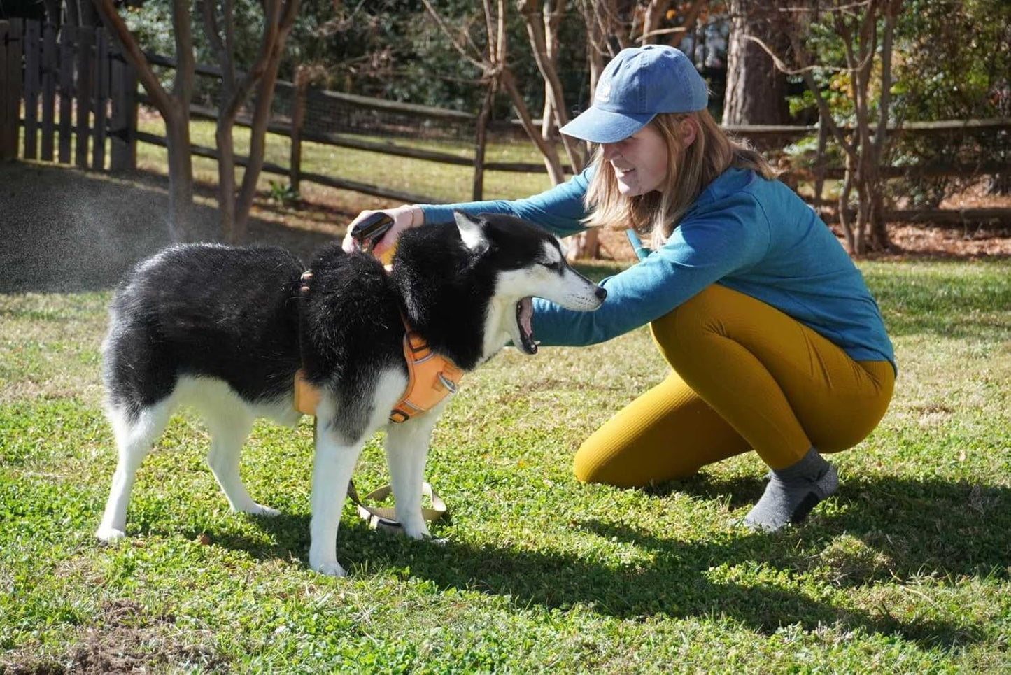 Sawyer Products SP624 Permethrin, Permethrin for Dogs Insect Repellent Treatment