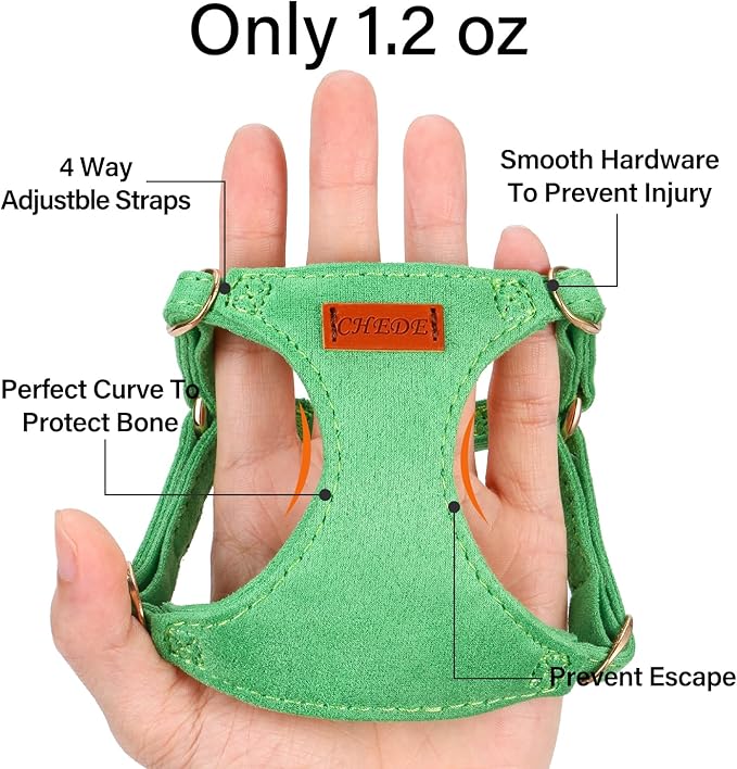 No Pull Dog Harness- Lightweight, Soft, Adjustable Small Harness Collar and Leash Set, Suitable for Cats Puppy Small and Medium-Sized Dog Outdoor Training and Running