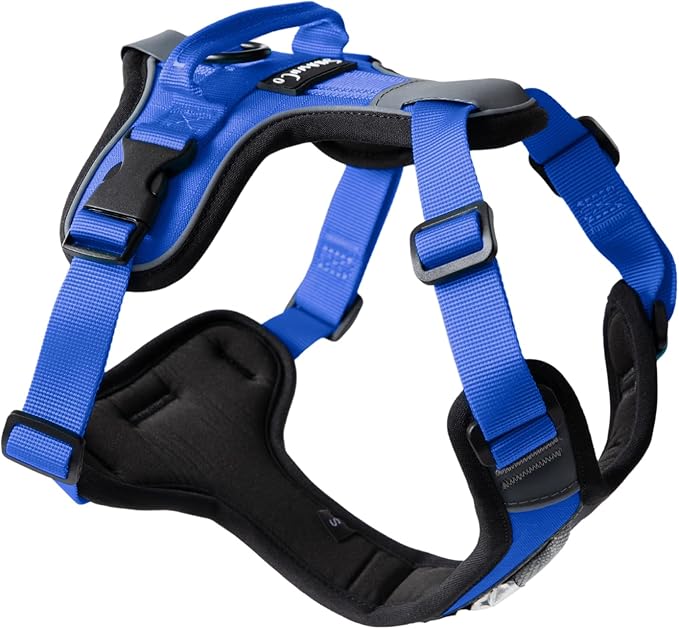 ShawnCo Basecamp Dog Harness, No-Pull Pet Vest with 3 Leash Clips, Padded, Reflective, Lightweight and Adjustable Harness with Handle for Small, Medium and Large Dogs (Electric Blue, S)