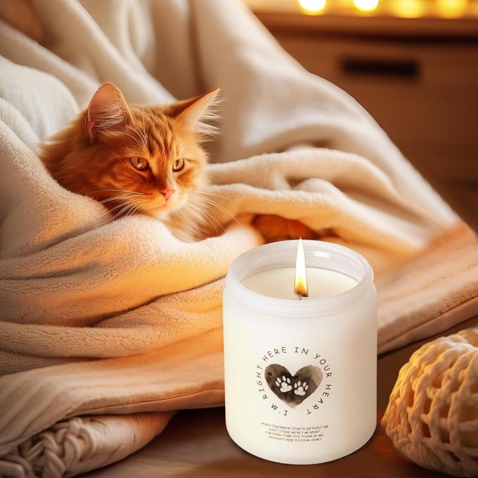 Dog Memorial Gifts for Loss of Dog, Sympathy Candle Gift for Pet Memorial Gifts for Dogs Cats, Pet Loss Gifts Remembrance, Bereavement Grief Condolence Gifts for Dog cat Lovers Friends Familes