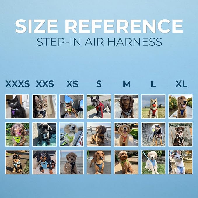 Voyager Step-in Air Cat Harness - All Weather Mesh Step in Vest Harness for Small and Medium Cats by Best Pet Supplies - Set (Baby Blue), XXS