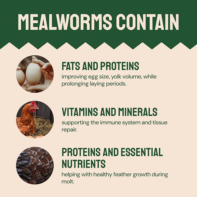 Chicken Feed Dried Mealworms - 5 Lb, Non-GMO & Organic - High-Protein Mealworms for Wild Birds & Ducks, Chicken Treats & Bird Food