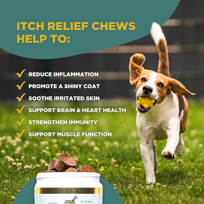 PetScy - Dog Itch Relief with Fatty Acids, EPA, DHA, & Omega, Nutritional Support, Chews for All Ages, Pork Flavor, 30 Chews (Pack of 3)