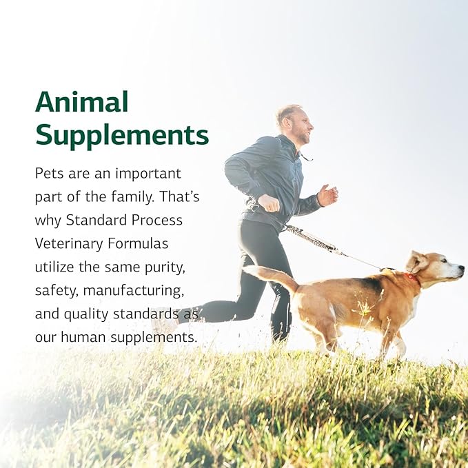 Standard Process Canine Musculoskeletal Support - Bone & Joint Health Formula for Pets - Canine Musculoskeletal Support Supplement - Supplement for Dogs to Aid Joint Comfort & Muscle Health - 30 g