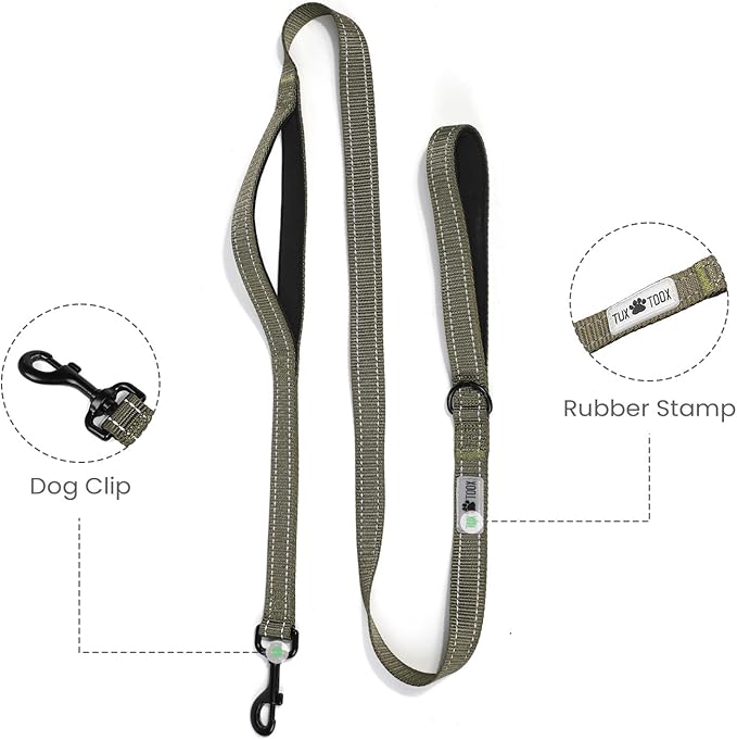 Dog Leash- 6 FT Leashes for Small to Large Dogs, Double Handle Dog Leash, Reflective Walking Training Lead (Dog Leash (Green), 6 FT Dog Leash)