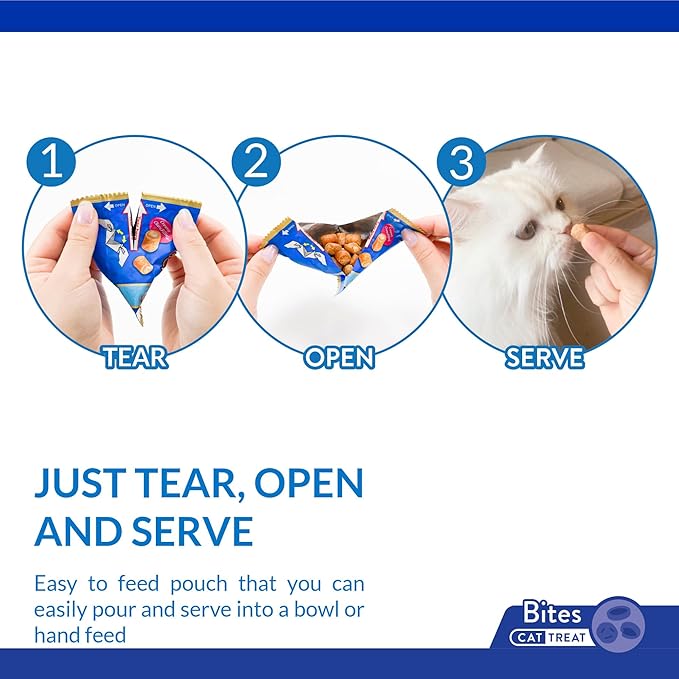 INABA Churu Fun Bites for Cats, Soft & Chewy Cat Treats with Taurine, 0.42 Ounces Each Tetra, 18 Tetras (3 per Bag), Chicken with Pumpkin Recipe