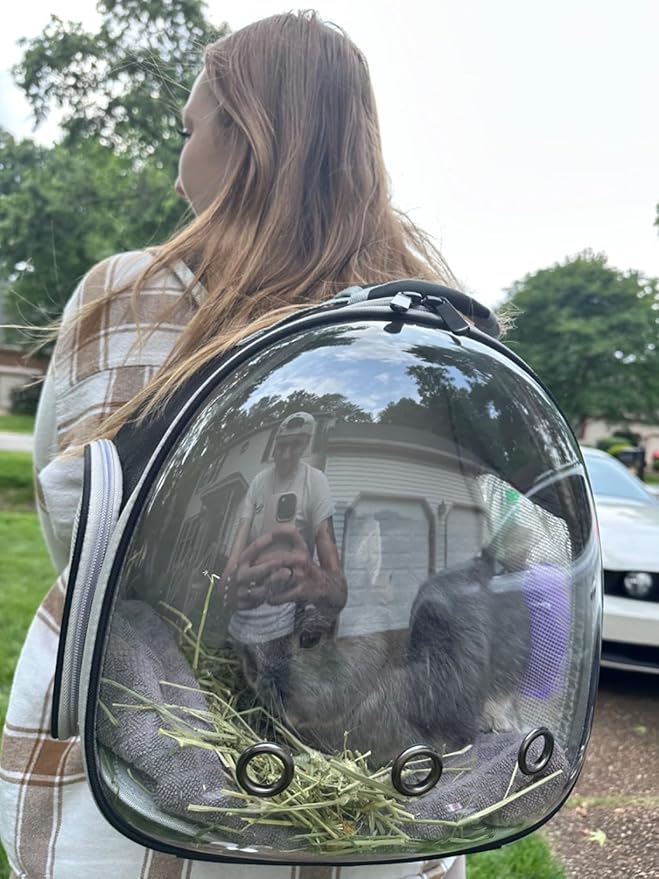 Guinea Pig Backpack, Space Capsule Bubble Window Small Animal Backpack for Guinea Pig, Bird Bunny Rabbit