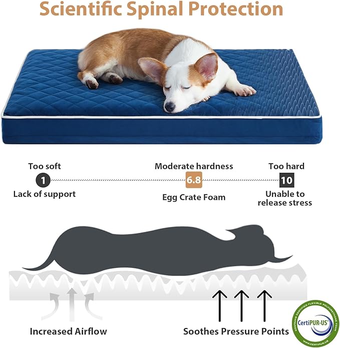WNPETHOME Orthopedic XL Dog Bed for Crate, Waterproof Extra Large Dogs Bed with Removable Washable Cover, Multi-Needle Quilting Dogs Crate Bed