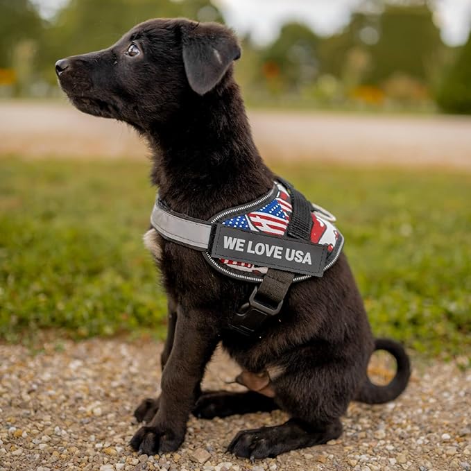 Personalized No-Pull Dog Harness with Name Patch, Adjustable, Reflective, Padded, Heavy Duty Pet Vest to Prevent Tugging, Pulling, or Choking, Training and Walking, Red, S