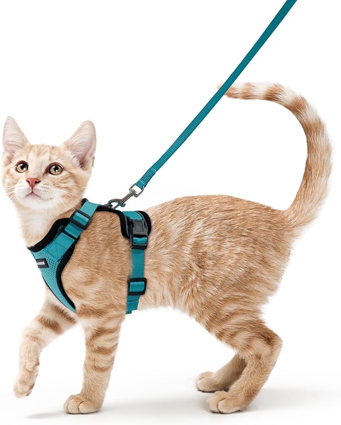 rabbitgoo Cat Harness and Leash for Walking, Escape Proof Soft Adjustable Vest Harnesses for Cats, Easy Control Breathable Reflective Strips Jacket, Teal, XS