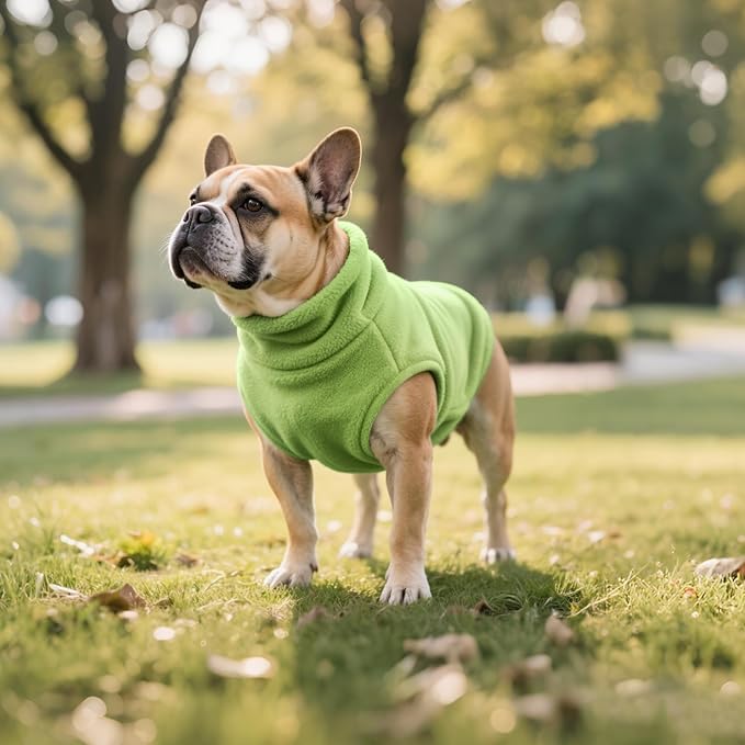 Idepet Dog Fleece Vest Sweater Zip Up Warm Pullover Dogs Jacket with D-Ring Leash Winter Cold Weater Coat Pet Sweatershirt Clothes Hoodie for Small Medium Dogs Boy Girl(Green,XS)